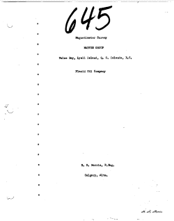 Magnetimeter Survey MABVEN GBOUP False Bays Lye11 Island