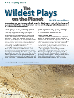 The Wildest Plays on the Planet