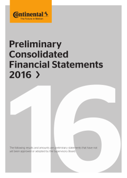 Preliminary Consolidated Financial Statements 2016