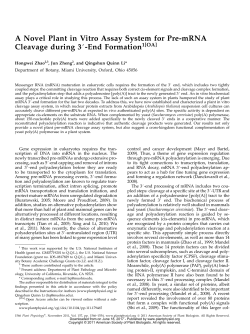 A Novel Plant in Vitro Assay System for Pre