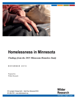 Homelessness in Minnesota: Findings From the 2015 Minnesota