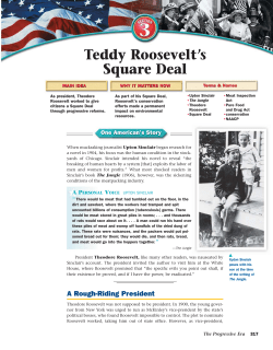 Teddy Roosevelt`s Square Deal
