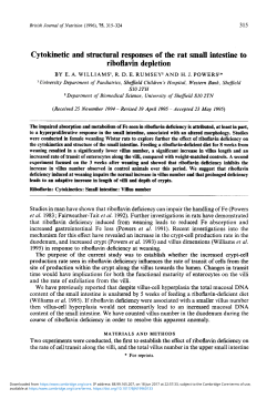 Cytokinetic and structural responses of the rat small intestine to