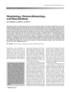 Morphology, paleoanthropology, and neanderthals