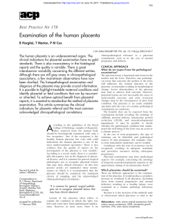 Examination of the human placenta