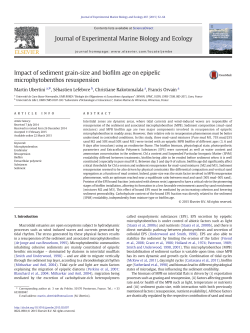 Impact of sediment grain-size and biofilm age on epipelic