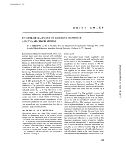 BRIEF NOTES UNUSUAL DEVELOPMENT OF BASEMENT