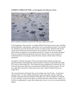 STRIDING THROUGH TIME: An Investigation into Dinosaur Tracks