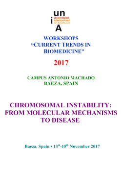 info chromosomal instabil