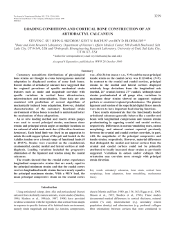 Loading properties and morphology of bone