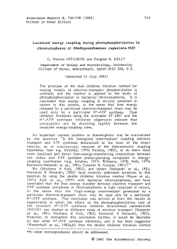Localized energy coupling during photophosphorylation by