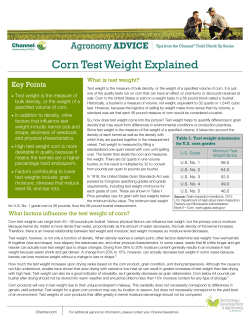 Corn Test Weight Explained