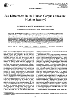 Sex Differences in the Human Corpus Callosum: Myth or Reality?