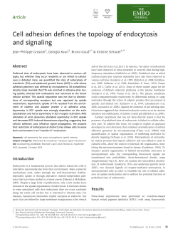 Cell adhesion defines the topology of endocytosis and signaling