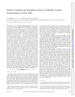 Neural Correlates for Roughness Choice in