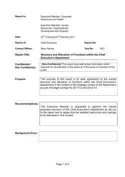 Structure and Allocation of Functions within the Chief Executive`s
