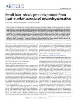 Small heat-shock proteins protect from heat-stroke