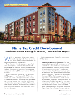 Niche Tax Credit Development