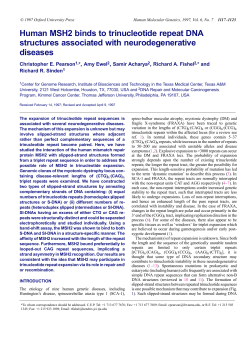 Human MSH2 binds to trinucleotide repeat DNA