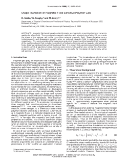 Shape Transition of Magnetic Field Sensitive Polymer Gels