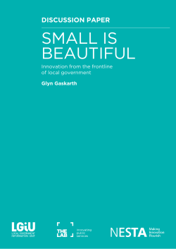 small is beautiful for innovation in local government