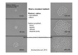 Rozmnožov&aacute;n&iacute; bakteri&iacute;
