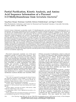 Partial Purification, Kinetic Analysis, and Amino