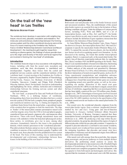 On the trail of the `new head` in Les Treilles