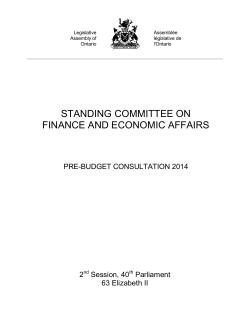 standing committee on finance and economic affairs