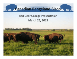 Canadian Rangeland Red Deer College