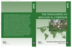 The Mesoamerican Biological Corridor