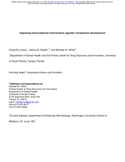 Opposing transcriptional mechanisms regulate