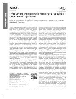 Three‐Dimensional Biomimetic Patterning in Hydrogels to Guide