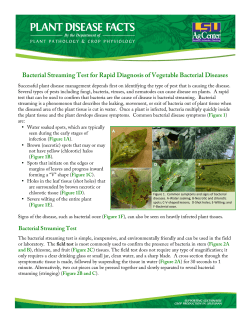 Bacterial Streaming PPCP-VEG-005 Final