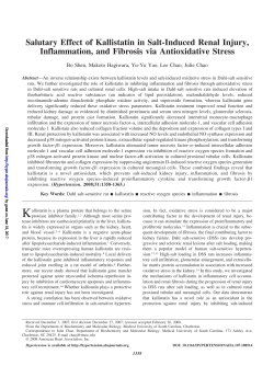 Salutary Effect of Kallistatin in Salt-Induced Renal