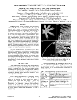 ADHESION FORCE MEASUREMENTS ON SINGLE GECKO SETAE