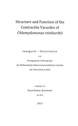 Structure and function of the contractile vacuoles of