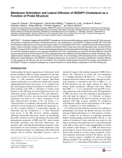Membrane Orientation and Lateral Diffusion of BODIPY