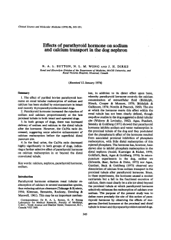 Effects of Parathyroid Hormone on Sodium and