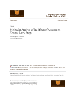 Molecular Analysis of the Effects of Atrazine on Xenopus Laevis Frogs
