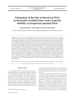 Estimation of the fate of dissolved DNA in thermally stratified lake