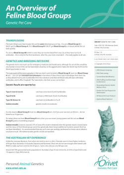 Blood Group Fact Sheet