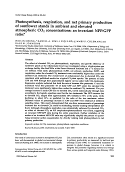 Photosynthesis, respiration, and net primary production of sunflower