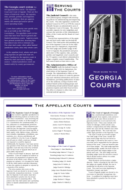 Your Guide to the Georgia Courts