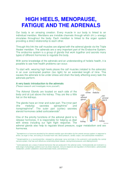 high heels, menopause, fatigue and the adrenals