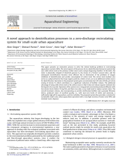 A novel approach to denitrification processes in a zero