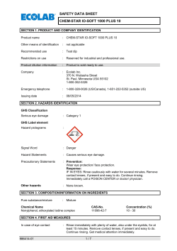 SAFETY DATA SHEET CHEM-STAR IO