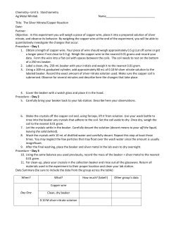Unit 5 Silver Nitrate/Copper Reaction Minilab