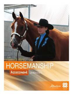 Horsemanship Assessment Levels 4-7 - 4