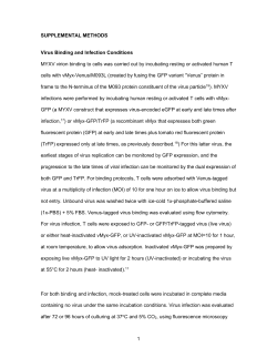 1 SUPPLEMENTAL METHODS Virus Binding and